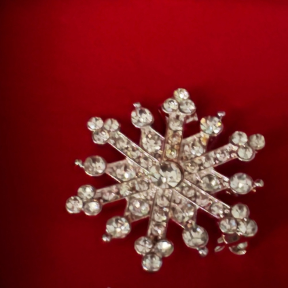 NIB Ice Red Cardinal and Snowflake Brooch Set ready to gift - Picture 5 of 9